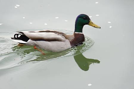 DSC05556.JPG