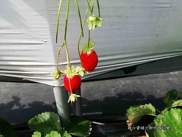 IMG_20191228_124638.jpg