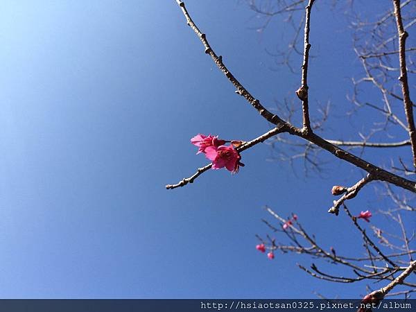IMG_2629.JPG