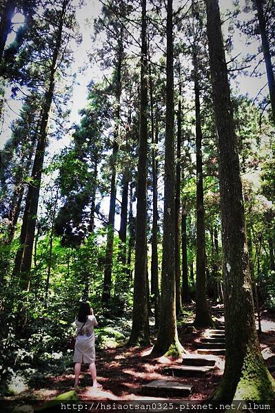 IMG_5646 (2).JPG
