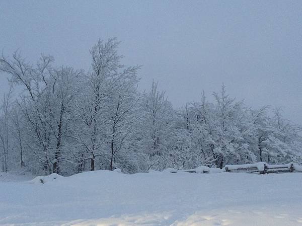 Collingwood的積雪