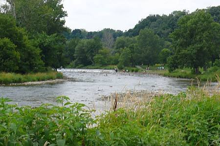 烤肉的河畔(Humber River)