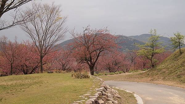 Makino高原一景.JPG