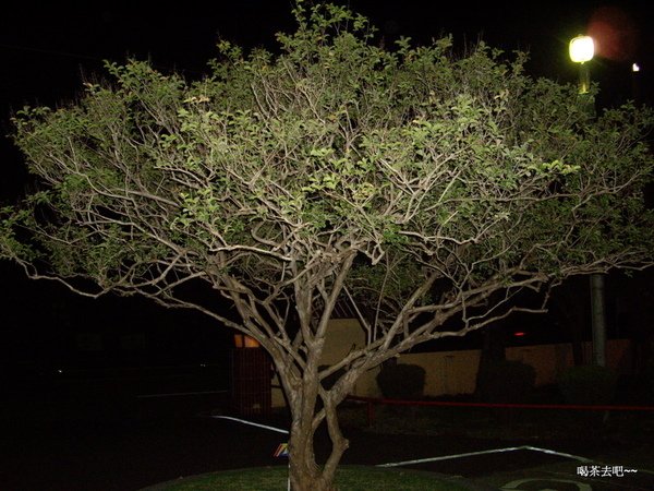 IMGP1547.JPG