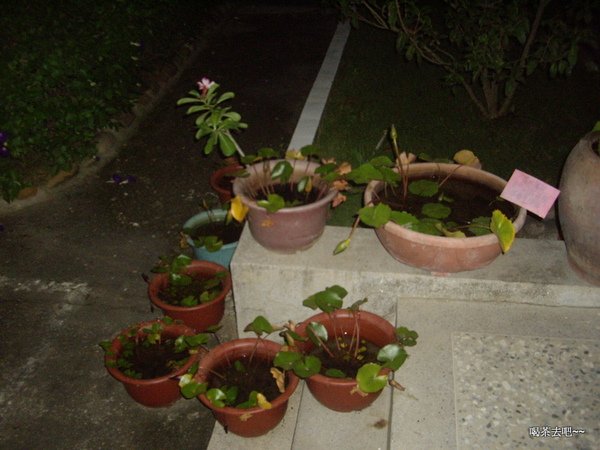 IMGP2566.JPG