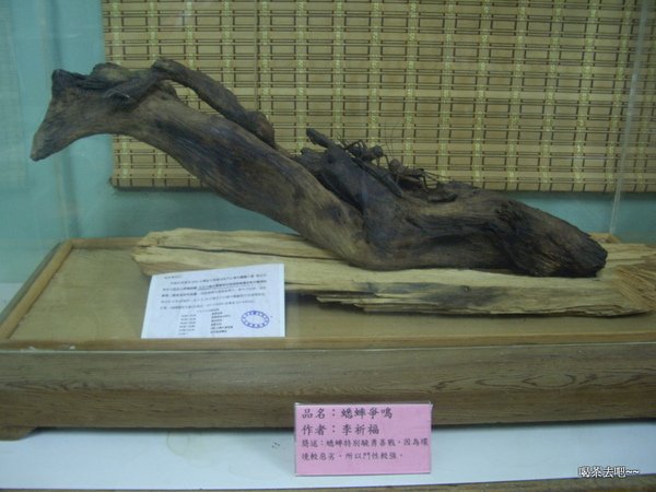 IMGP2571.JPG