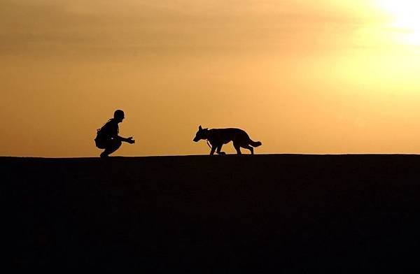 silhouette-of-man-and-dog-at-sunset.jpg