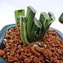 DSC04651.JPG