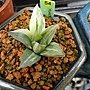 DSC04667.JPG