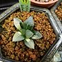 DSC04669.JPG
