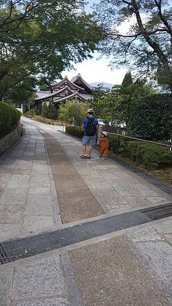 20170902_113138.jpg