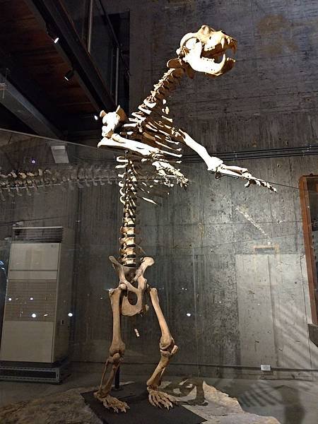 P_20190104_113621-1512x2016.jpg