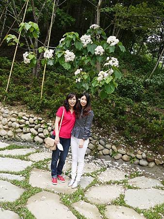 P1170437.JPG