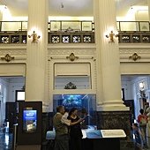 IMG_4805