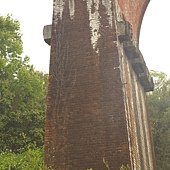 IMG_2558