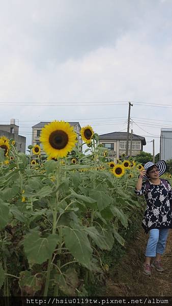 IMG_2210.JPG