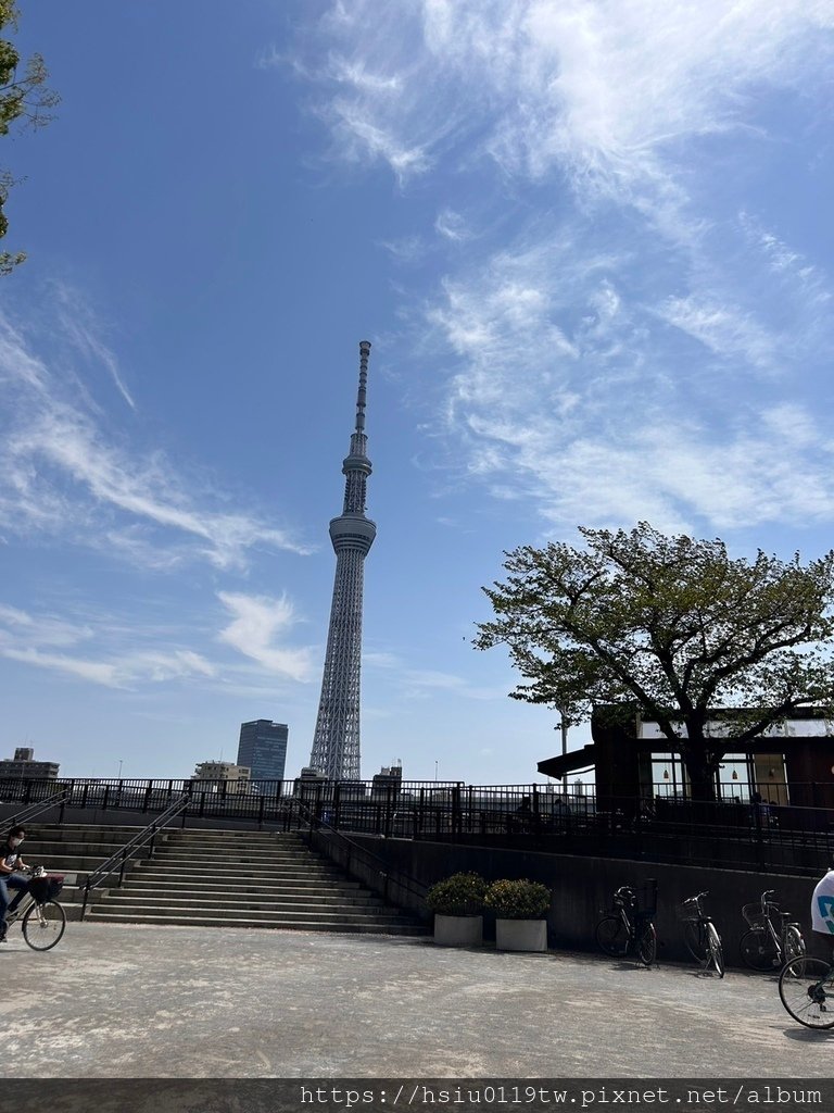 🌸櫻櫻美代誌Day5-撒悠娜啦下次擱再來