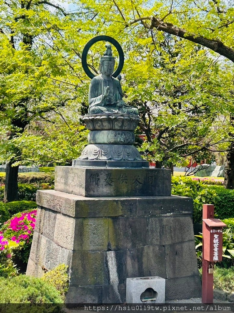 🌸櫻櫻美代誌Day5-撒悠娜啦下次擱再來