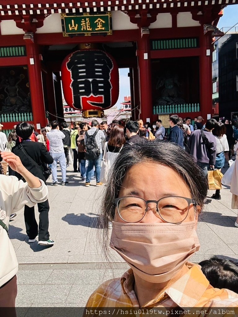 🌸櫻櫻美代誌Day5-撒悠娜啦下次擱再來