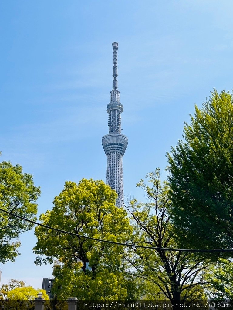 🌸櫻櫻美代誌Day5-撒悠娜啦下次擱再來