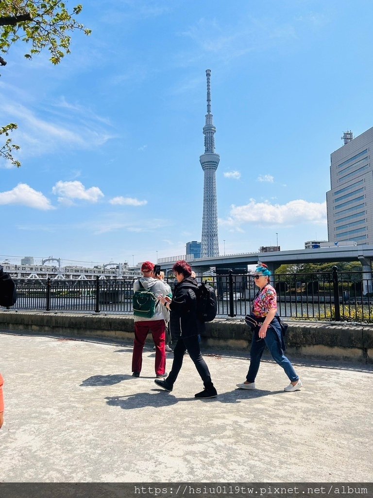 🌸櫻櫻美代誌Day5-撒悠娜啦下次擱再來