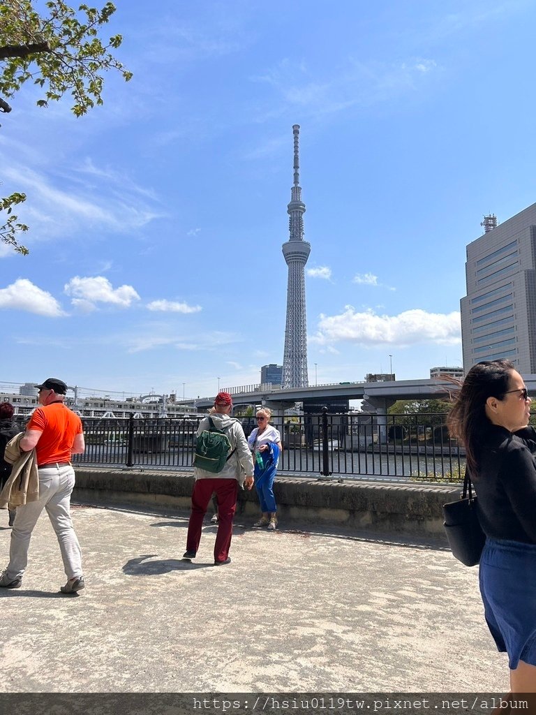 🌸櫻櫻美代誌Day5-撒悠娜啦下次擱再來