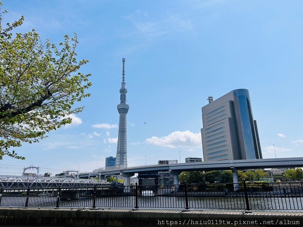 🌸櫻櫻美代誌Day5-撒悠娜啦下次擱再來