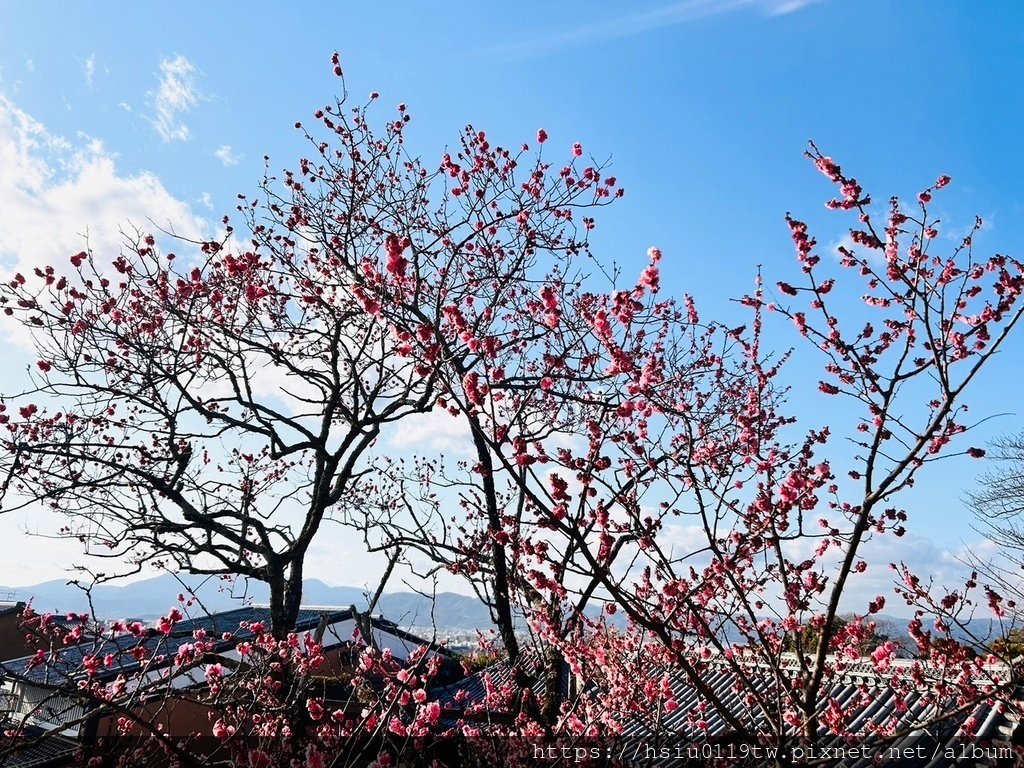 關西見學Day2-風華年代永遠不散