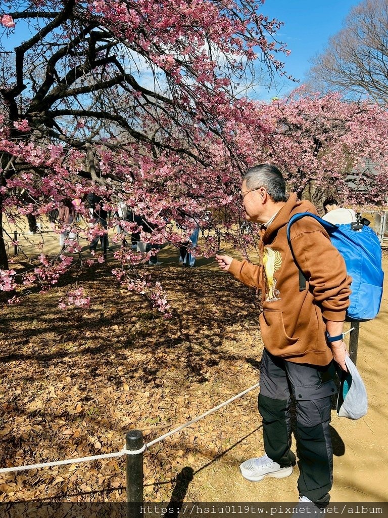 LINE_ALBUM_2025226代代木藏前淺草_250331_141.jpg