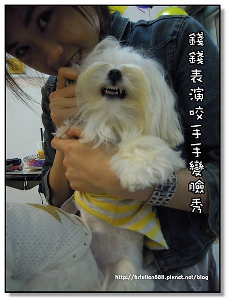 DSCN2350.JPG