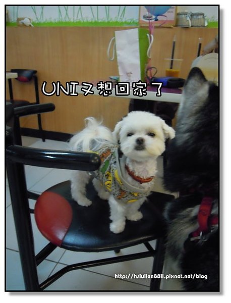 DSCN2419.JPG