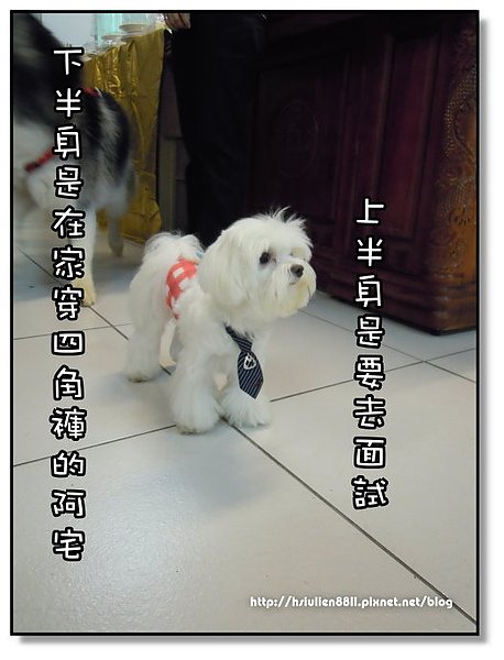 DSCN2313.JPG