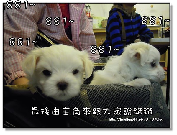 DSCN2473.JPG