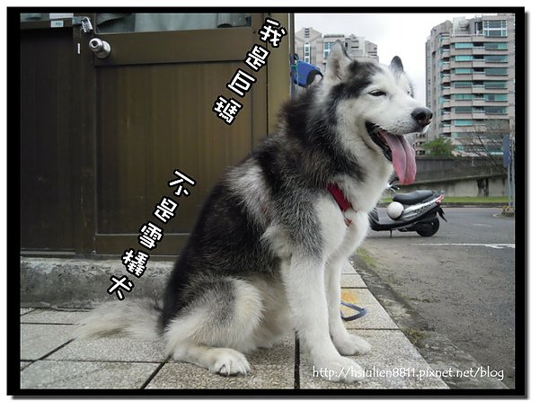 DSCN6079.JPG