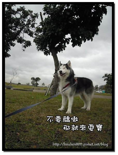 DSCN6006.JPG