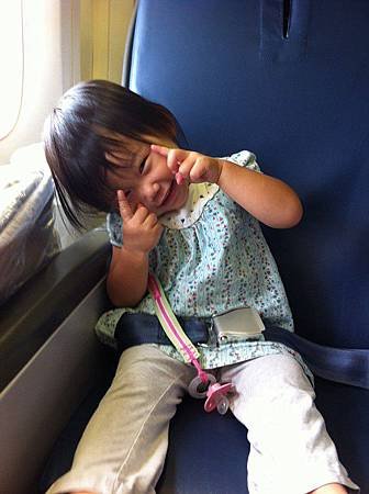 Flight to US