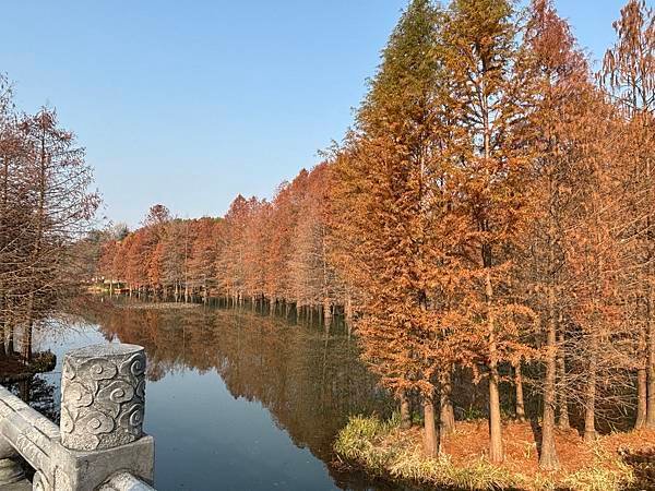 2025南京冬旅：第二天