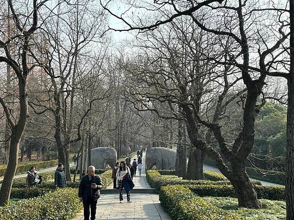 2025南京冬旅：第二天