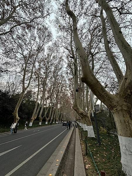 2025南京冬旅：第二天