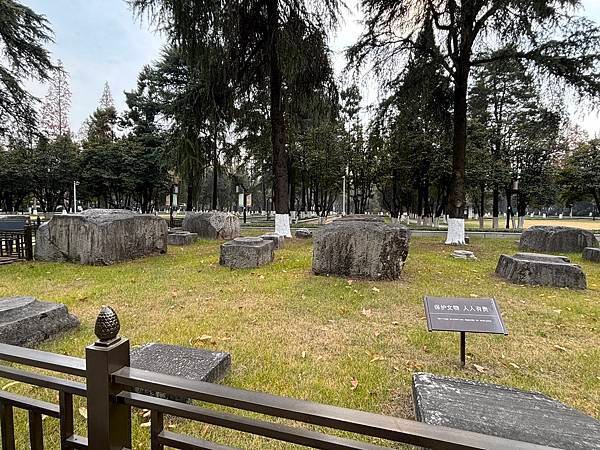 2025南京冬旅：第二天