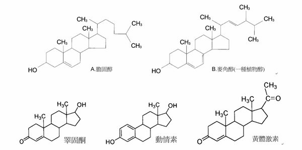 類固醇-2.jpg