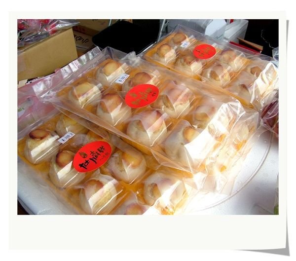 金栗城002.JPG