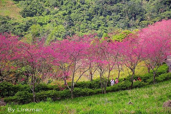 _DSC1075-p_調整大小