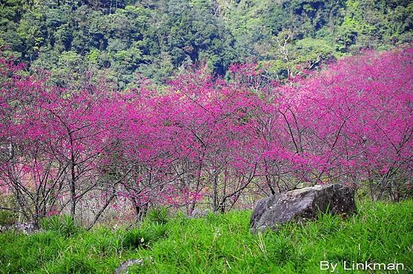 _DSC1081-p_調整大小