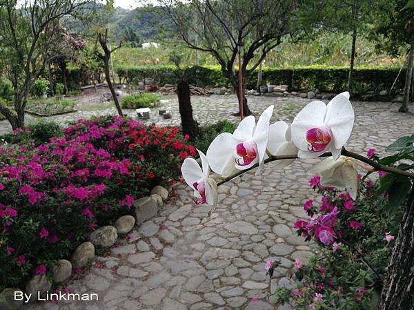 IMG_0926-1