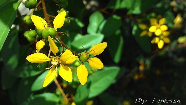 P_20140815_081603.jpg-1.jpg