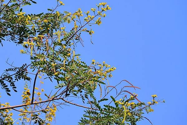 A14_9031.jpg-1.jpg