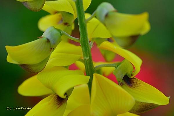 A17_8334-1.jpg