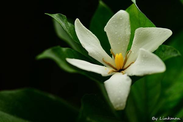 DSC_3406-1.jpg