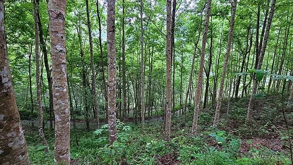 20220511_083628-1.jpg